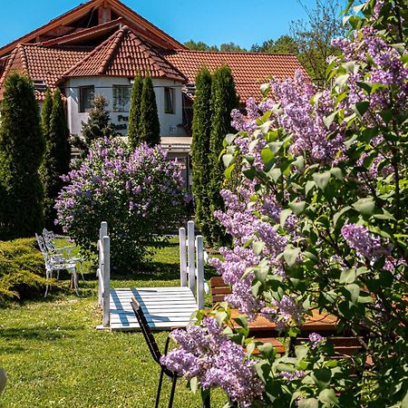 Pensiunea Poiana Avrigului Bagian luar foto