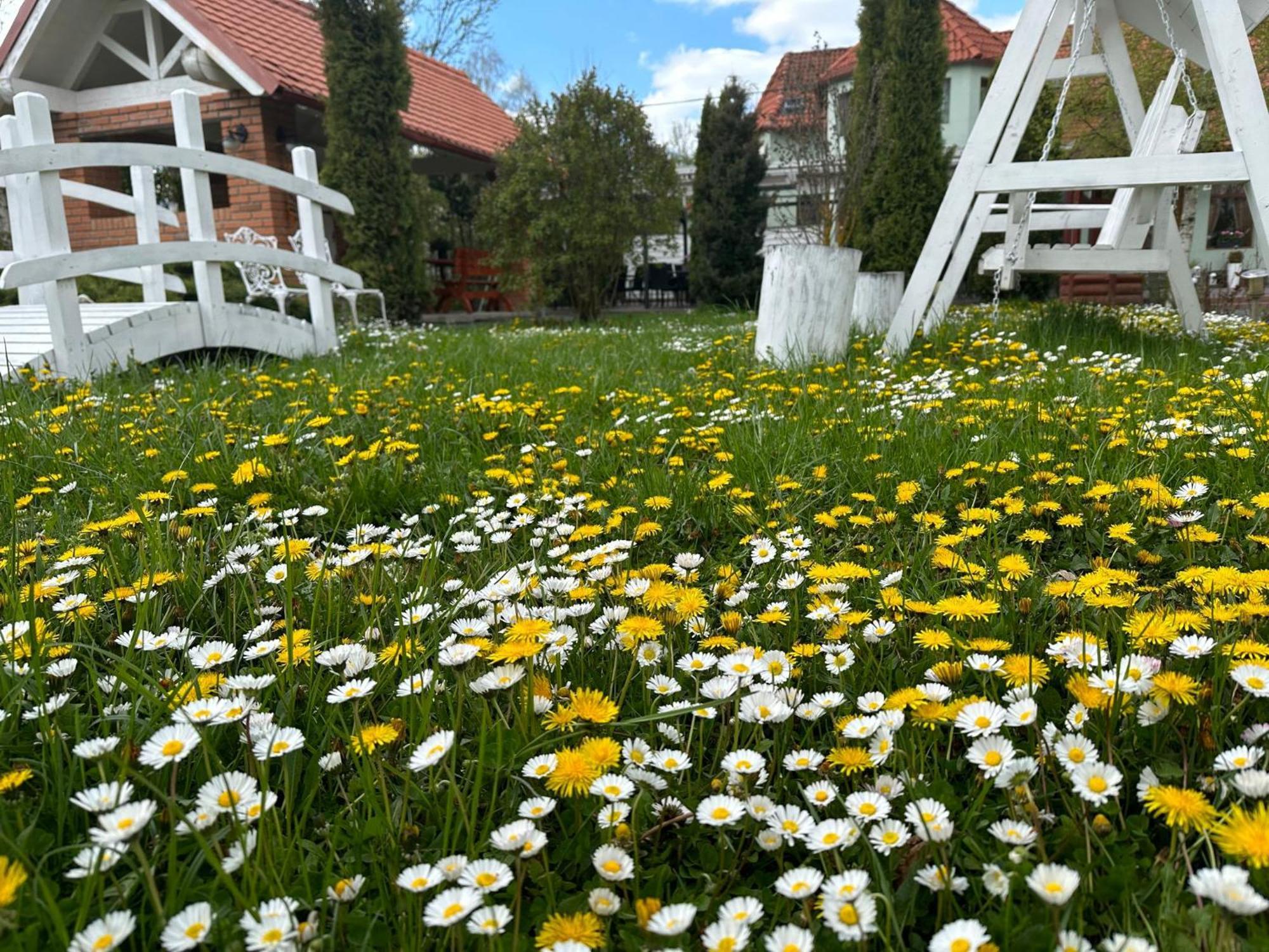 Pensiunea Poiana Avrigului Bagian luar foto