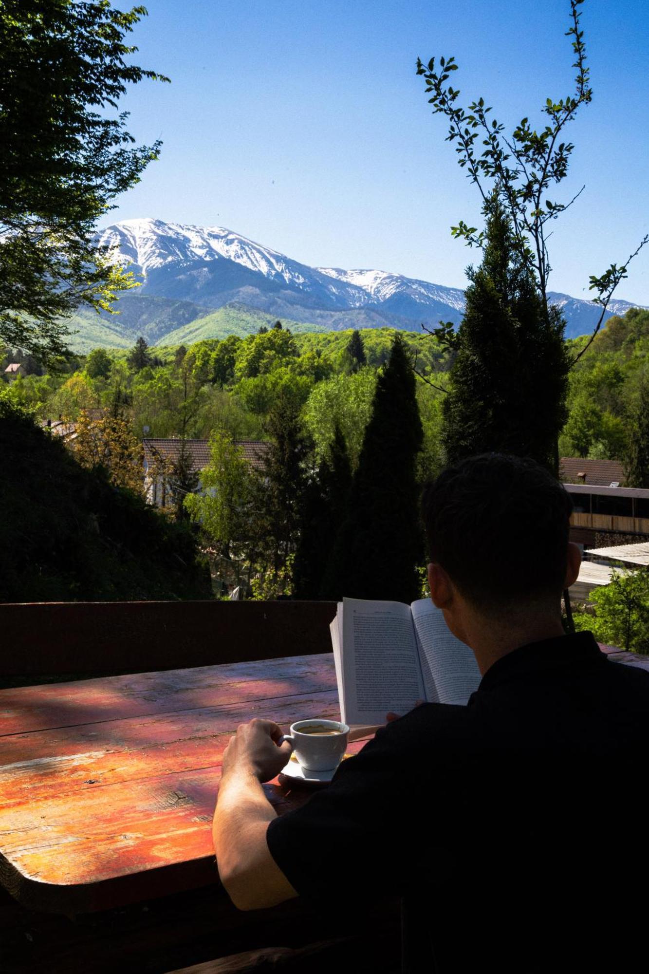 Pensiunea Poiana Avrigului Bagian luar foto