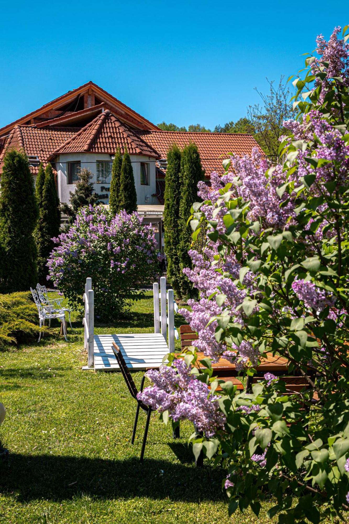 Pensiunea Poiana Avrigului Bagian luar foto