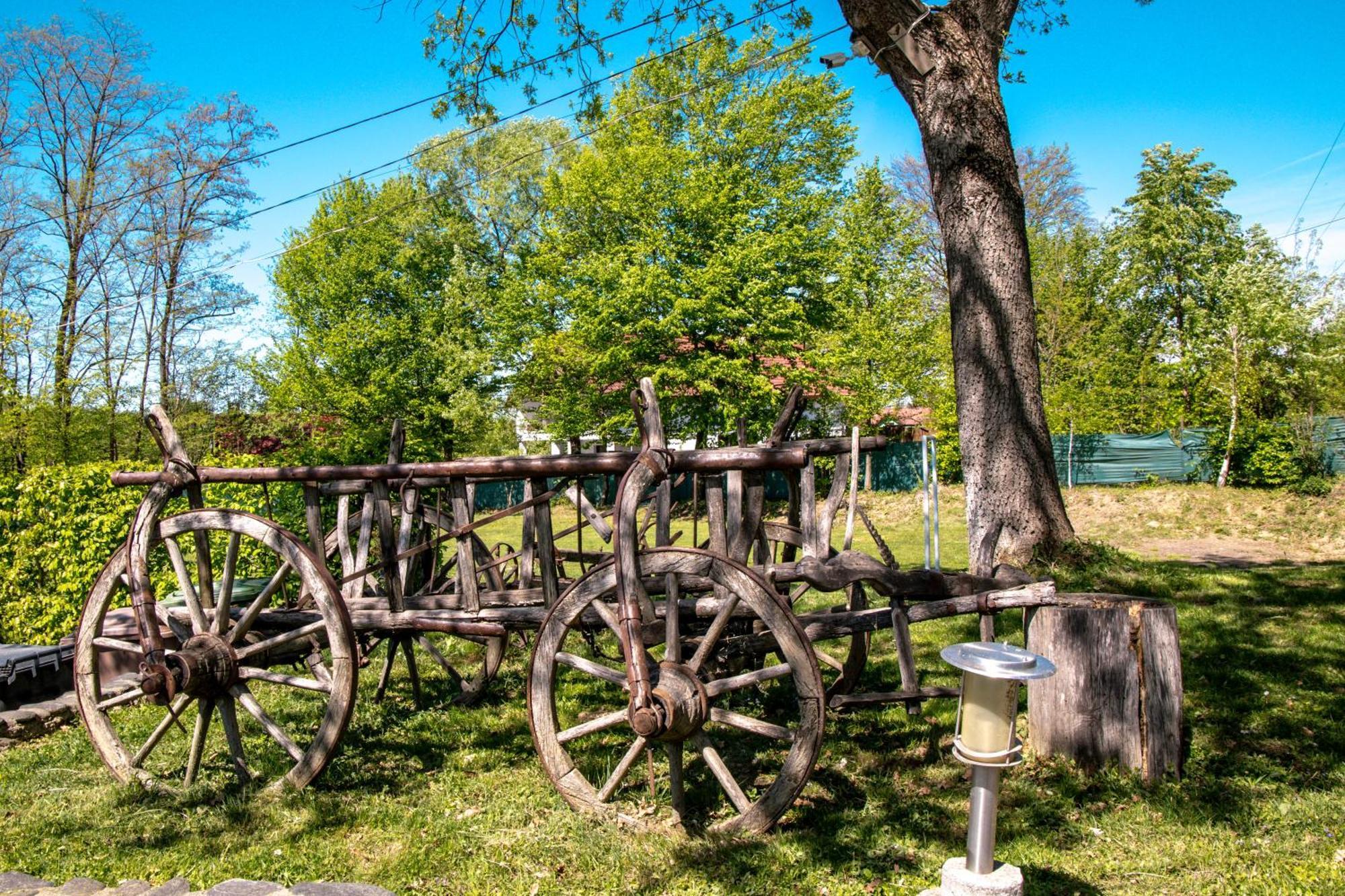 Pensiunea Poiana Avrigului Bagian luar foto